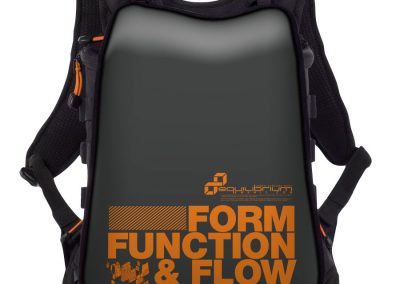FORM FUNCTION FLOW